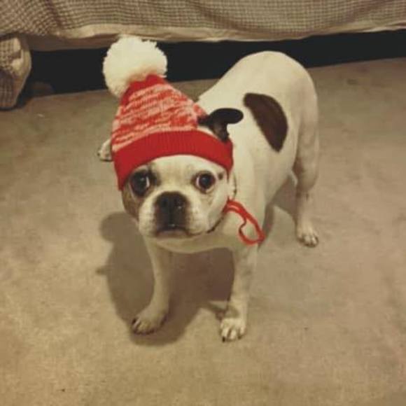 Meet your Posher, Becky - Picture 1 of 1